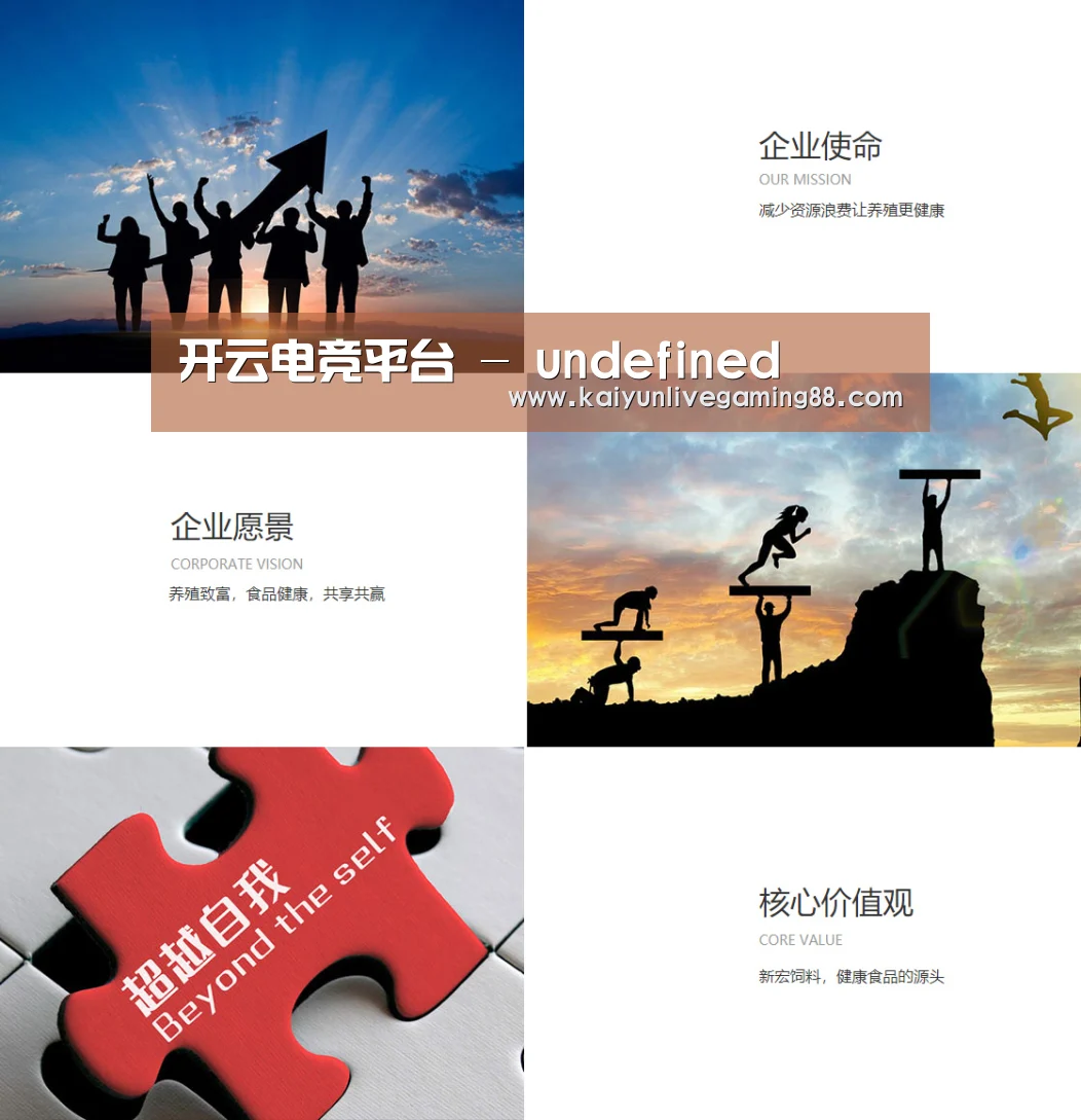企业文化(图1)