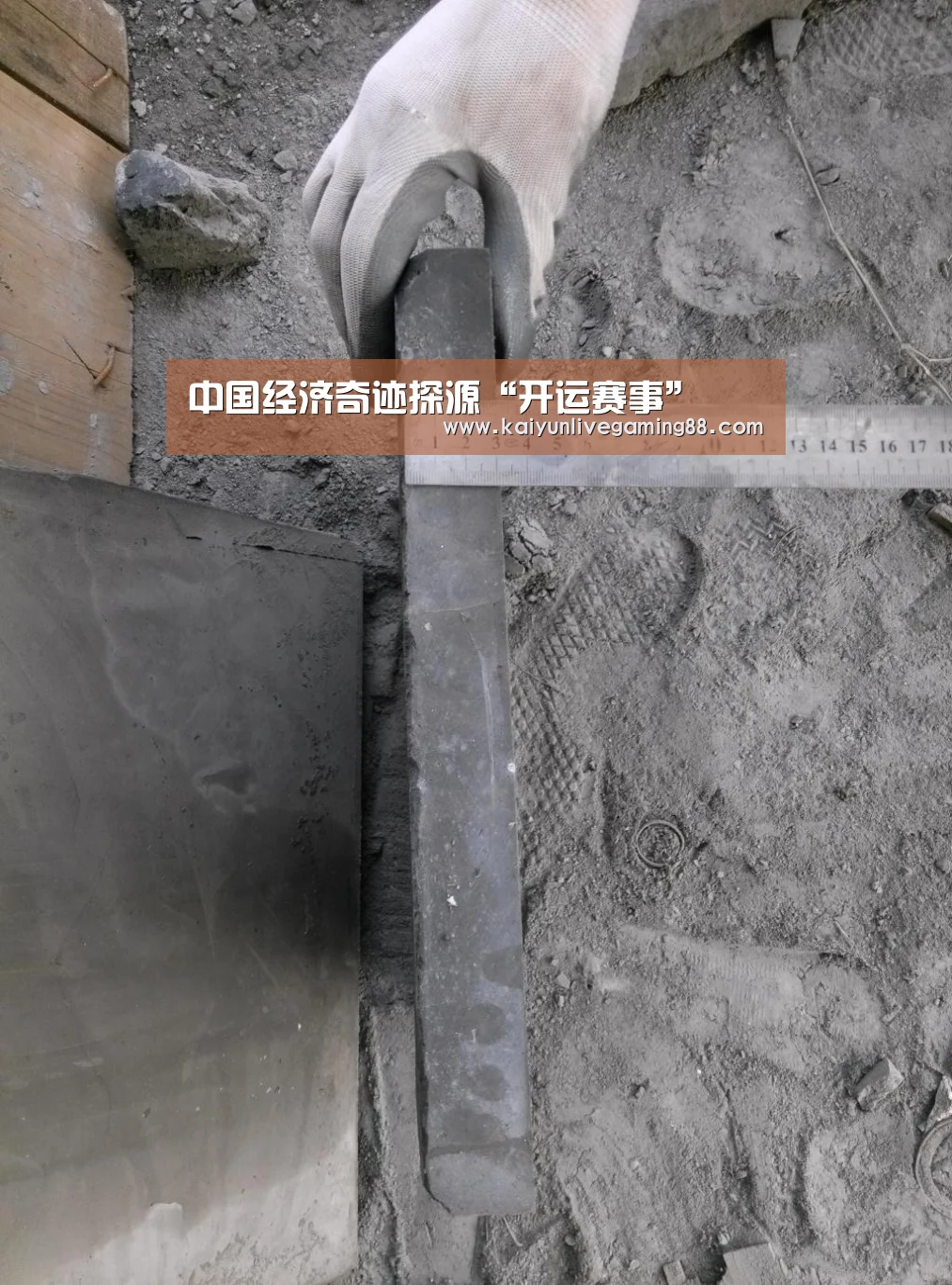中国经济奇迹探源“开运赛事”