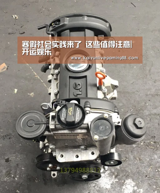 寒假社会实践来了 这些值得注意|开运娱乐(图5) 开运赛事