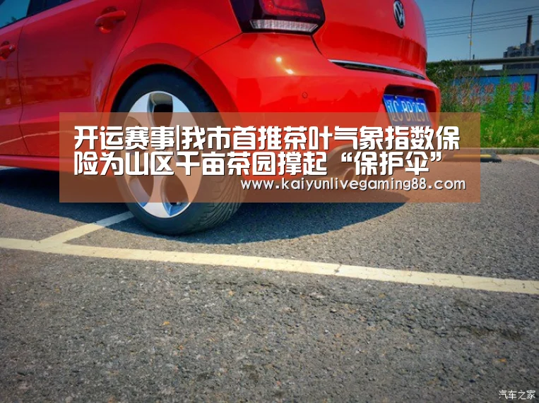 开运赛事|我市首推茶叶气象指数保险为山区千亩茶园撑起“保护伞”(图1) 开运平台
