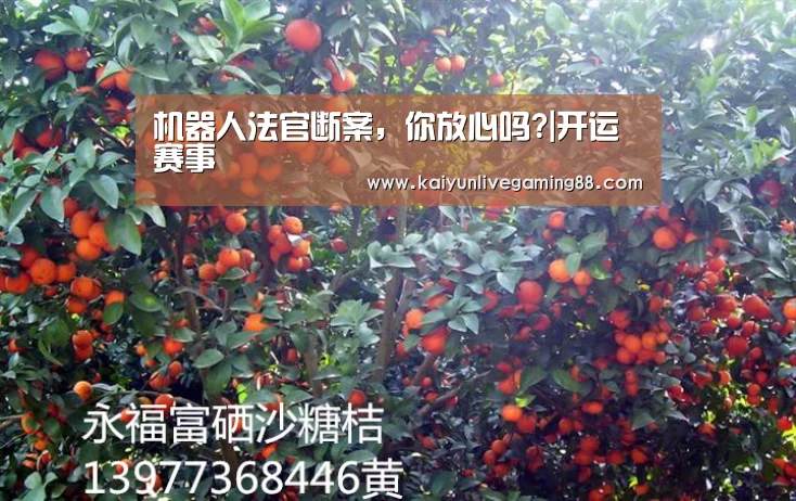开运赛事